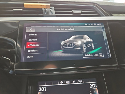 Audi e-tron Gebrauchtwagen
