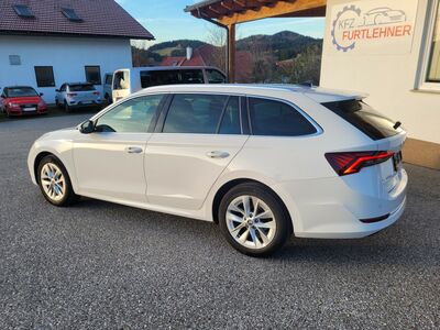 Skoda Octavia Gebrauchtwagen