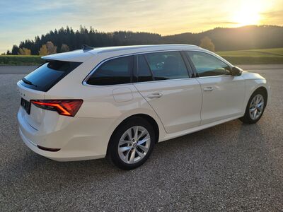Skoda Octavia Gebrauchtwagen