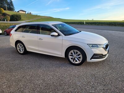 Skoda Octavia Gebrauchtwagen