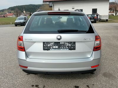 Skoda Octavia Gebrauchtwagen