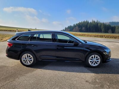 Skoda Octavia Gebrauchtwagen