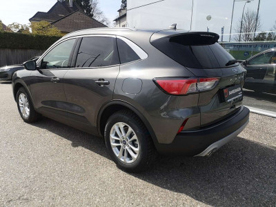 Ford Kuga Gebrauchtwagen