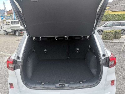 Ford Kuga Vorführwagen