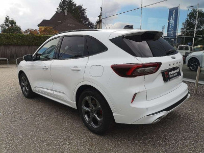 Ford Kuga Vorführwagen