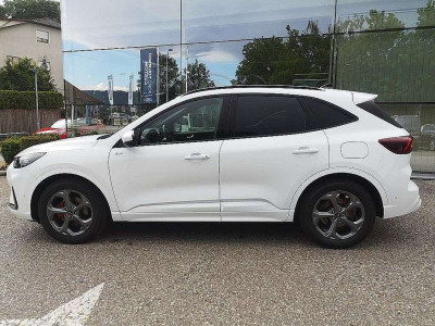 Ford Kuga Vorführwagen