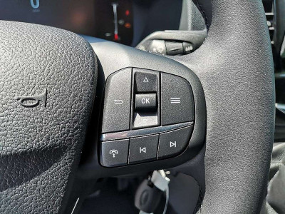 Ford Transit Neuwagen