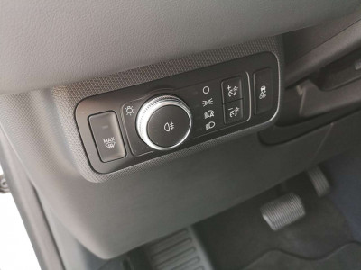 Ford Mustang Mach-E Gebrauchtwagen