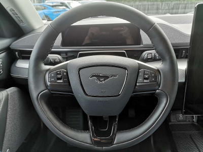 Ford Mustang Mach-E Gebrauchtwagen