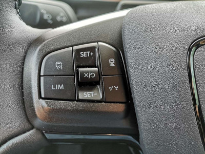 Ford Mustang Mach-E Gebrauchtwagen