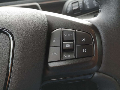 Ford Mustang Mach-E Gebrauchtwagen