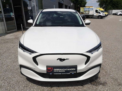 Ford Mustang Mach-E Gebrauchtwagen