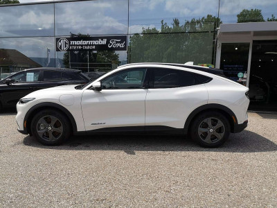 Ford Mustang Mach-E Gebrauchtwagen