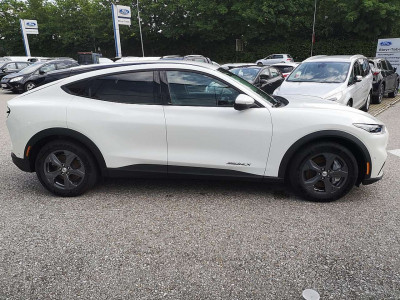 Ford Mustang Mach-E Gebrauchtwagen