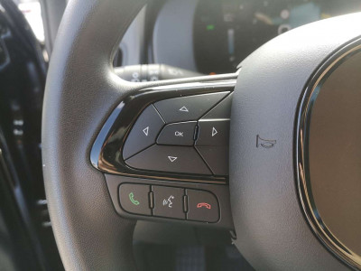 Fiat Panda Vorführwagen