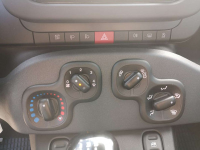 Fiat Panda Vorführwagen