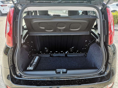 Fiat Panda Vorführwagen