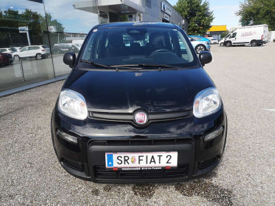 Fiat Panda Vorführwagen