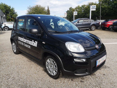 Fiat Panda Vorführwagen