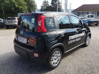 Fiat Panda Vorführwagen
