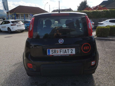 Fiat Panda Vorführwagen