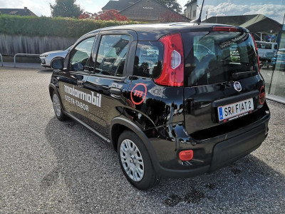 Fiat Panda Vorführwagen