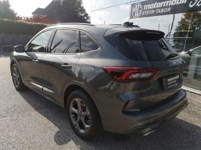 Ford Kuga Neuwagen