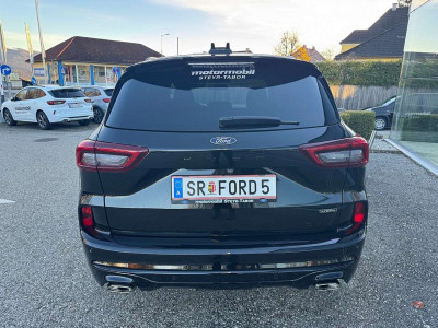 Ford Kuga Vorführwagen Ford Kuga Vorführwagen