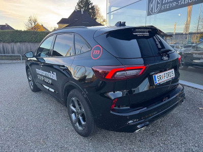 Ford Kuga Vorführwagen Ford Kuga Vorführwagen