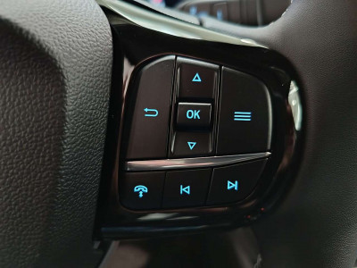 Ford Tourneo Courier Neuwagen