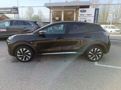 Ford Puma Gebrauchtwagen