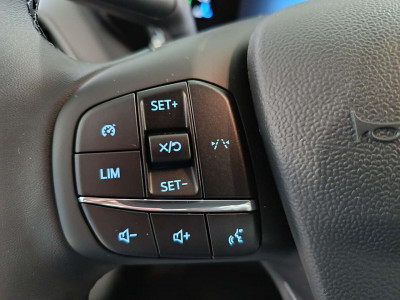 Ford Tourneo Courier Tageszulassung