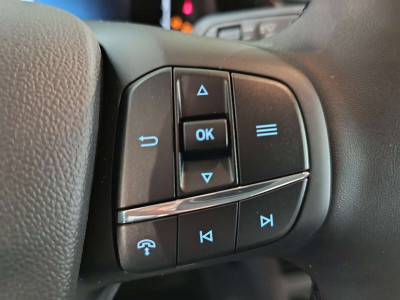 Ford Tourneo Courier Tageszulassung