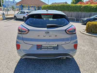 Ford Puma Gebrauchtwagen