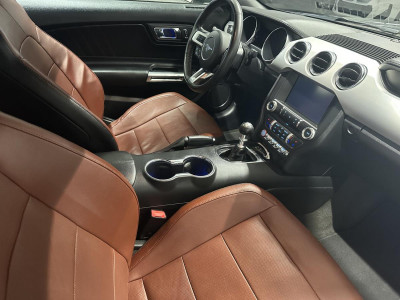 Ford Mustang Gebrauchtwagen