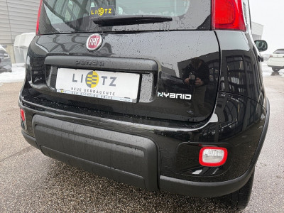 Fiat Panda Gebrauchtwagen