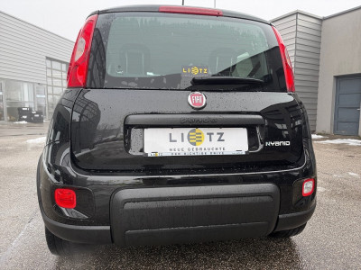 Fiat Panda Gebrauchtwagen