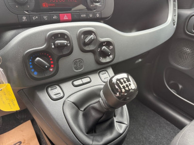 Fiat Panda Gebrauchtwagen