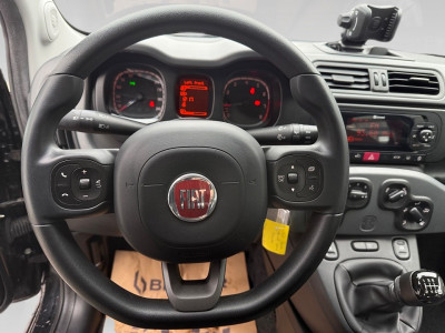 Fiat Panda Gebrauchtwagen