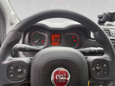 Fiat Panda Gebrauchtwagen