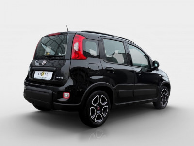 Fiat Panda Gebrauchtwagen
