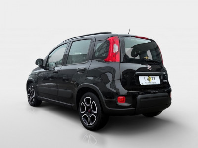Fiat Panda Gebrauchtwagen