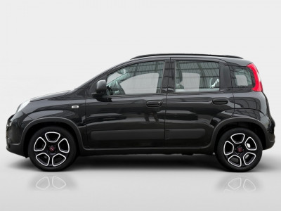 Fiat Panda Gebrauchtwagen
