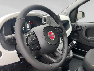 Fiat Pandina Gebrauchtwagen