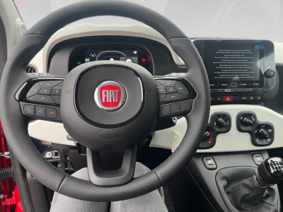 Fiat Pandina Gebrauchtwagen