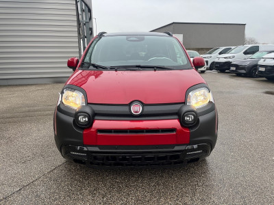 Fiat Pandina Gebrauchtwagen