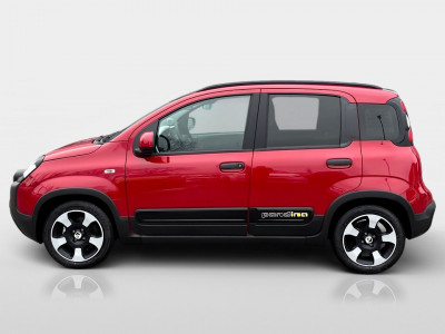 Fiat Pandina Gebrauchtwagen