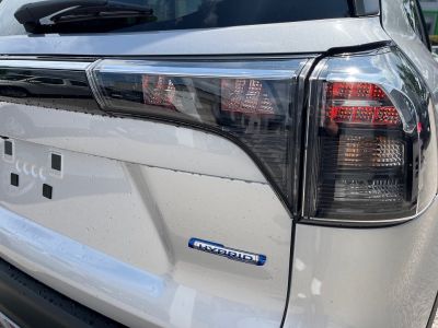 Suzuki S-Cross Tageszulassung