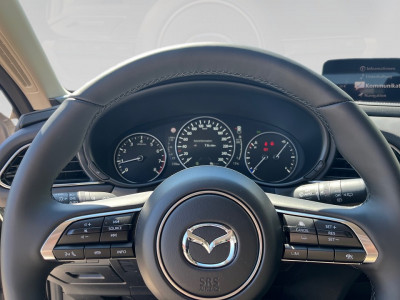 Mazda CX-30 Vorführwagen Mazda CX-30 Vorführwagen