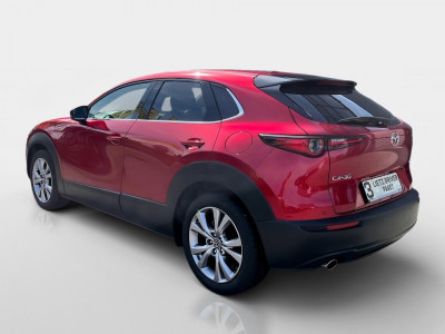 Mazda CX-30 Gebrauchtwagen